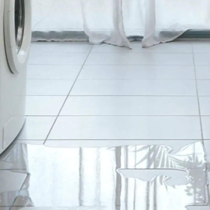 Appliance Leak Cleanup in Saucier, MS