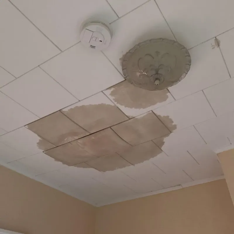 Ceiling Water Damage Repair in Saucier, MS