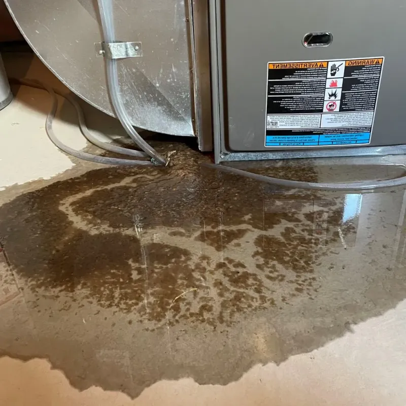Pipe Burst and Leak Restoration in Saucier, MS