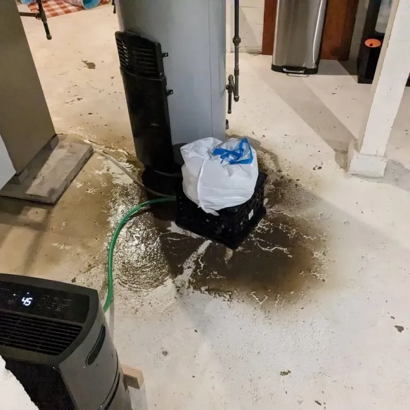 Sewage Backup Cleanup Service in Saucier, MS